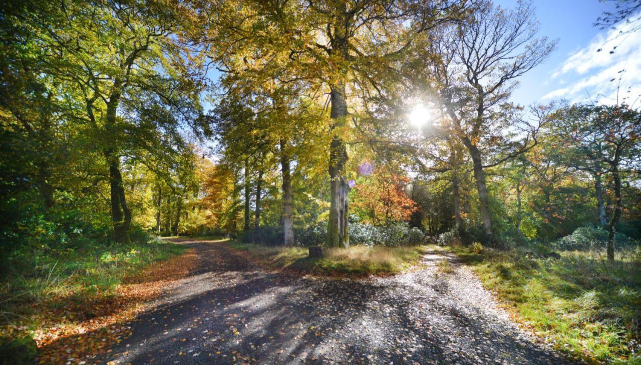 Loch Lomond Finnich Cottages Drymen Dış mekan fotoğraf